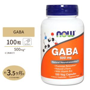 ギャバ GABA + ビタミンB6 500mg 100粒 NOW Foods ナウフーズ