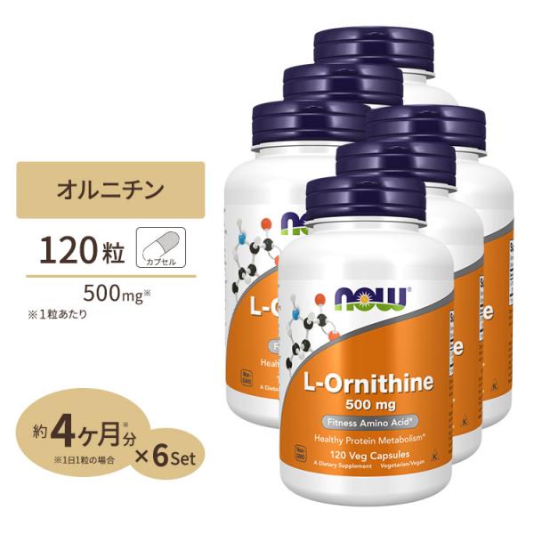 [6個セット] L-オルニチン 500mg (約4か月分) 3粒1500mgの「L-オルニチン」を配...