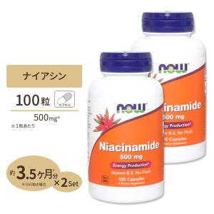 [2個セット] ナウフーズ ナイアシンアミド ビタミンB3 500mg 100粒 NOW Foods Niacinamide (B-3) イキイキとした毎日 エナジーチャージ 補酵素｜speedbody