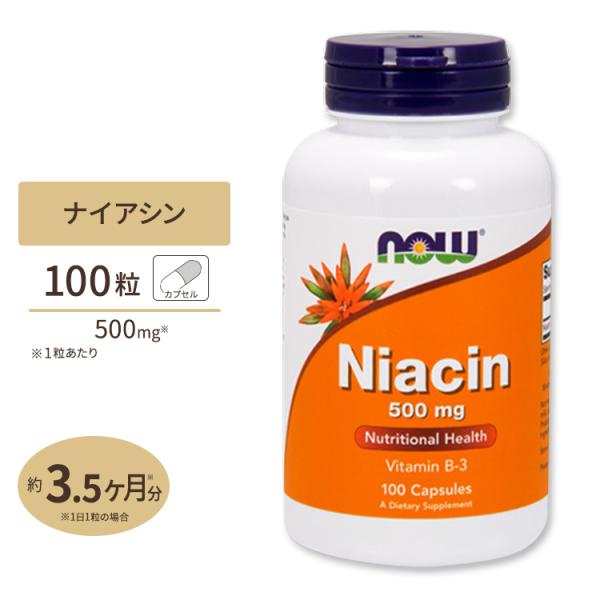 ナウフーズ ナイアシン サプリメント 500mg 100粒 NOW Foods Niacin カプセ...