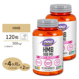 HMB 500mg 120カプセル 2個セット