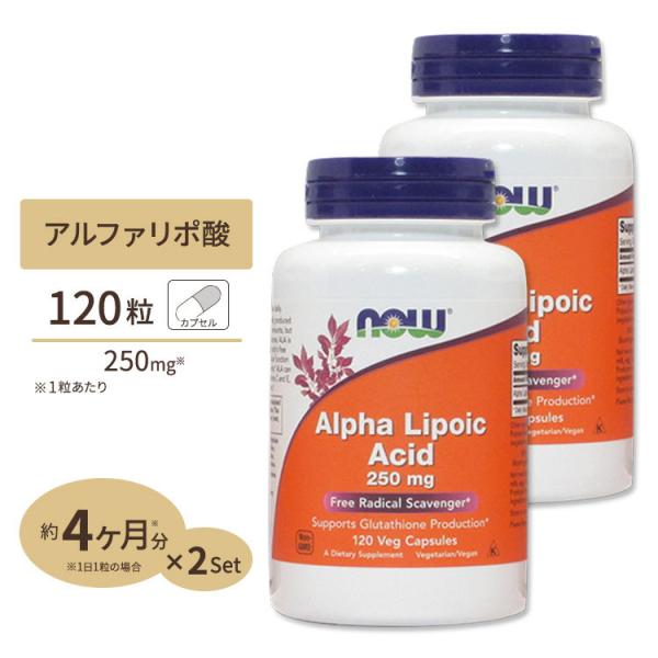 ナウフーズ 【お得サイズ！】アルファリポ酸 250mg 120粒 2個セット NOW Foods