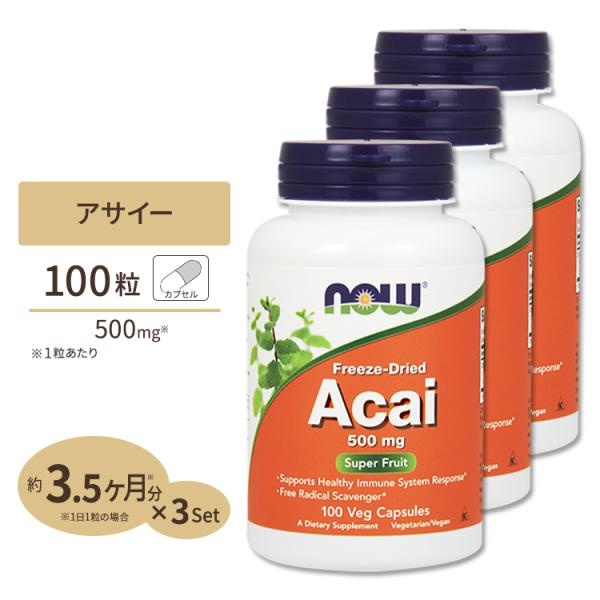 【アサイー】 500mg 100粒 3個セット