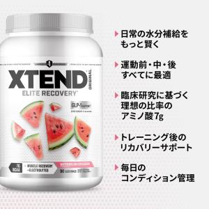エクステンド ウォーターメロンエクスプロージョ...の詳細画像3