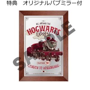 【新品】1週間以内発送【パブミラー付】500セ...の詳細画像2