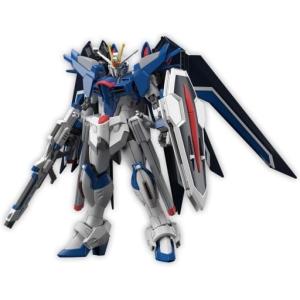 GUNDAM NEXT FUTURE 限定品　ライジングフリーダム　エアリアル BANDAI 【新品】【即納】GUNDAM NEXT FUTURE限定 HG 1/144