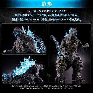 【新品】1週間以内発送 怪獣王シリーズ ゴジラ...の詳細画像2