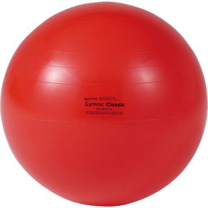 ダンノ DANNO ギムニクカラーボール55 レッド 赤 ギムニク ギムニクボール バランスボール ながら運動 バランストレーニング 体幹トレーニング 体幹｜SPG スポーツパレットゴトウ