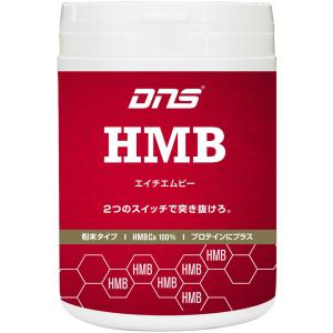 HMB パウダー 90g スポーツ HMB90｜spg-sports