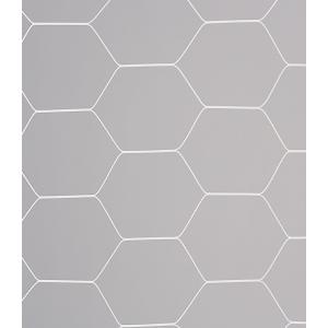 エバニュー EVERNEW 一般サッカーゴールネ...の商品画像