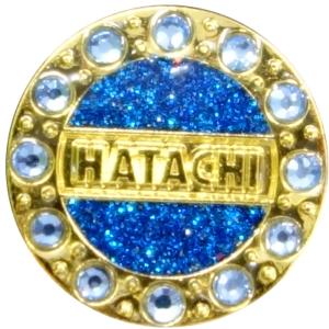 ハタチ HATACHI 男女兼用 グラウンドゴル...の商品画像