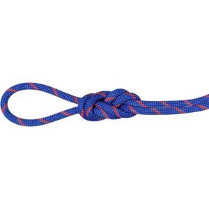 MAMMUT マムート 7．5 Alpine Sender Dry Rope 2010−04330 201004330A BL-SAFETY OR｜SPG スポーツパレットゴトウ