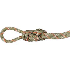 マムート 9.5GYM CLASSIC ROPE 50mの高価買取価格