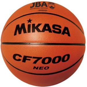 SPALDING（スポルディング） ミシガン メイズ ラバー SZ7 MICHIGAN