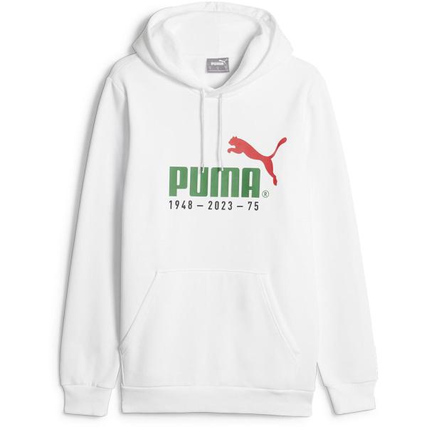 PUMA プーマ NO．1 ロゴ セレブレーション フーディースウェット FL 678413 02