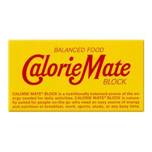 カロリーメイト 大塚製薬 カロリーメイト2B BLOCK TYPE ブロックタイプ