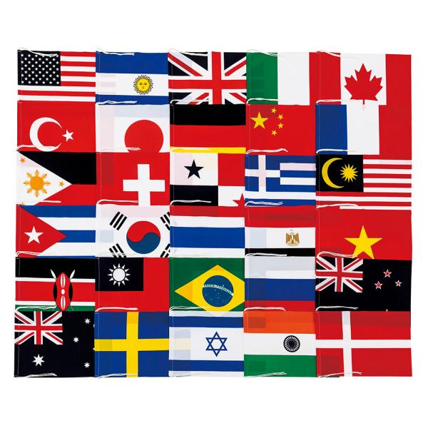 三和体育 テトロン製万国旗 20ヶ国入 25×37．5cm S0592