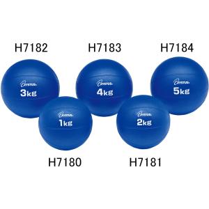 トーエイライト 学校 体育 メディシンボール 5kg H7184