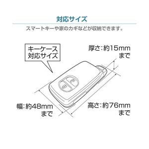 セイワ SEIWA WA-55 リレーアタック...の詳細画像5