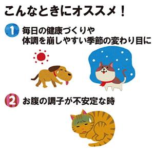 犬猫用乳酸菌 ザ・乳酸菌 1g×10袋の詳細画像3