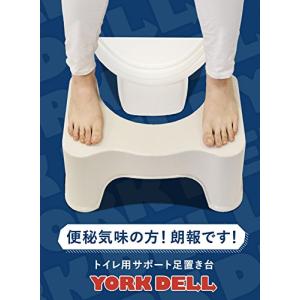 シービージャパン 踏み台 ベージュ 耐荷重10...の詳細画像1