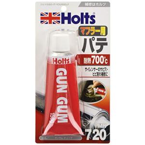 MH720 Holts ホルツ ガンガムチューブ 150g