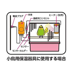 ミニマルランド マルカン ミニマルサーモの詳細画像2