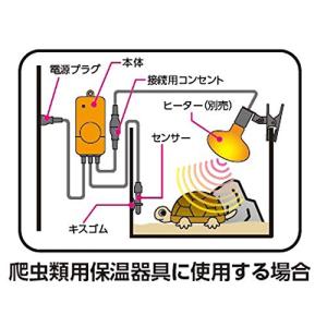 ミニマルランド マルカン ミニマルサーモの詳細画像3