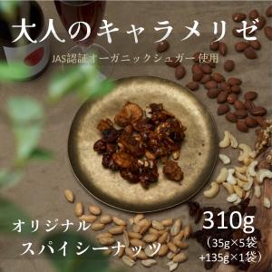 お試しセット ドライフルーツ レーズン バナナチップス ミックスナッツ スパイシーナッツ 落花生 オーガニックシュガー 310g