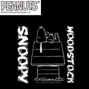 アークス Axs Sns 35 Snoopy スヌーピー 転写ステッカー House ホワイト メール便対応商品 T3ab A Life Shop 通販 Yahoo ショッピング