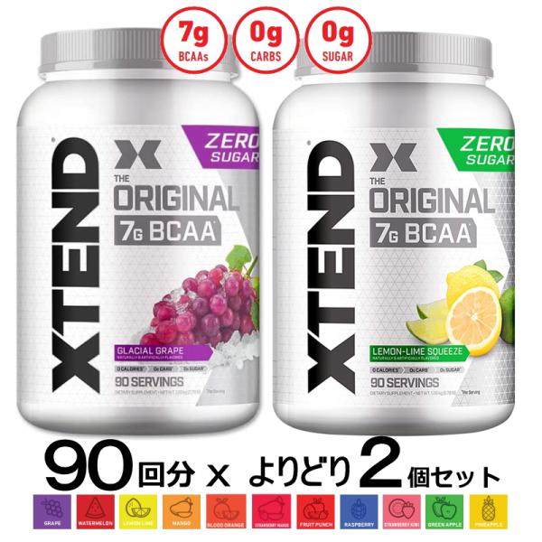 [大容量2本セット12種類] エクステンド BCAA + シトルリン 90配分 2本セット グレープ...