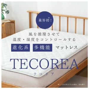 テコリア マットレス 厚さ6cm シングル 97cm×195cm TECOREA 腰痛 不眠