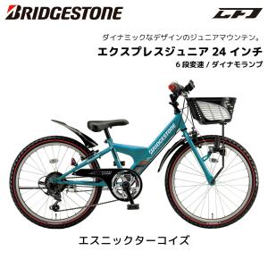防犯登録無料! 子供用自転車 ブリヂストン エ...の詳細画像5