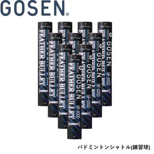 【10ダース】【練習球】ゴーセン GOSEN シ...の商品画像