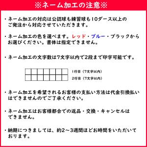 DUNLOP ダンロップ ソフトテニスボール ...の詳細画像3