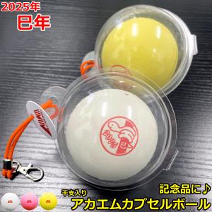 SRIXON DUNLOP ダンロップ ソフトテニスボール 練習球[1ダース