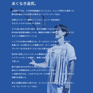 GOSEN ゴーセン ソフトテニス ガット ス...の詳細画像2