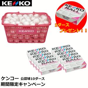 NAGASE KENKO（ナガセケンコー） ケンコー ソフトテニスボール 公認球