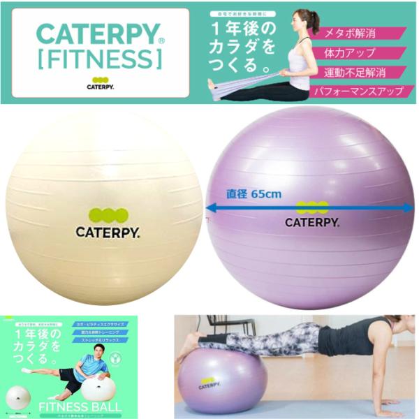 CATERPY キャタピー フィットネス バランスボール６５ｃｍ トレーニング フィットネス リハビ...