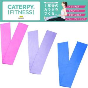 キャタピー フィットネスループバンドの買取情報