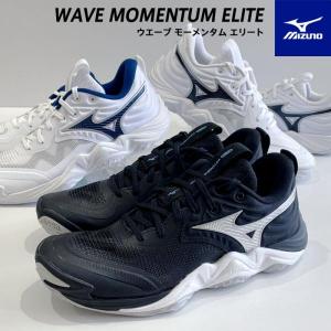 MIZUNO（ミズノ） バレーシューズ メンズ レディース 限定 ウエーブ