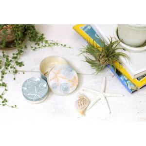 カピスシェル小物入れ 大小2個セット ふた付き スターフィッシュ＆シェル柄 おしゃれ インテリア ギ...