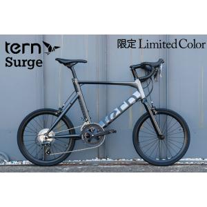 TERN 「ターン」 SURGE PRO SHIMANO ULTEGRA R8000カスタム 2018年