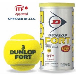 ダンロップ(DUNLOP) 硬式テニスボール FORT(フォート)[2個入](1缶/2球)