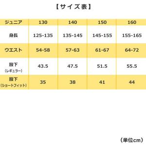 SSK(エスエスケイ) 野球練習用 3Dジュニ...の詳細画像3