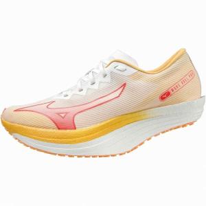 ミズノ(MIZUNO) ランニングシューズ ウエーブデュエルPRO U1GD220003｜spokoba