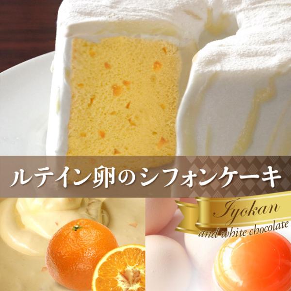 ルテイン卵のシフォンケーキ 伊予柑とホワイトチョコ【5号ホール・ 2〜4名様分・焼いた翌日にお届け】