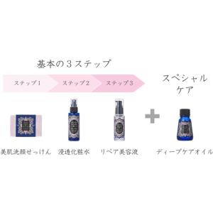 【送料無料・初回限定51%OFF】お試しキット...の詳細画像3