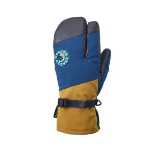 ボリューム グローブ VOLUME GLOVES スノーボード GORETEX グローブ