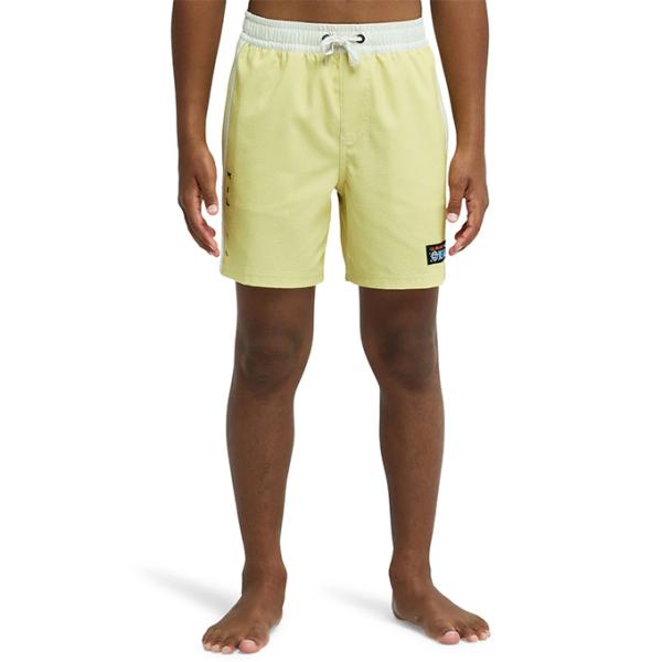 クイックシルバー QUIKSILVER キッズ ジュニア マリン サーフ ウエア ボードショーツ O...
